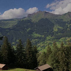 Tình ca Tây Bắc - Mai Chi Cong