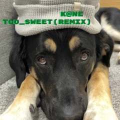 Hozier - Too Sweet (Remix)