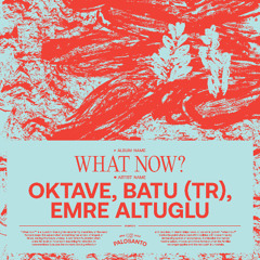 Oktave, BATU (TR), Emre Altuglu - What Now? (Extended) [Palosanto]
