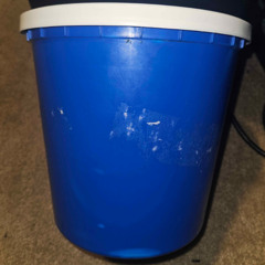 ISTOLEABUCKETFROMWORK