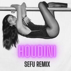 Dua Lipa - Houdini (Sefu Remix)