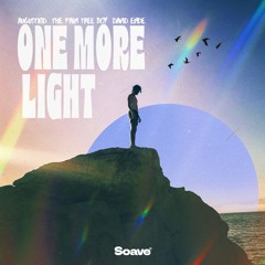 AUGUSTKID & The Palm Tree Boy - One More Light (feat. David Emde)