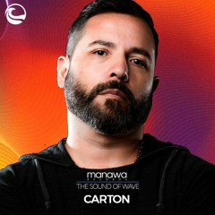 The Sound Of Wave #4 - Carton