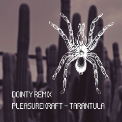 Pleasurekraft - Tarântula (Dointy Remix)