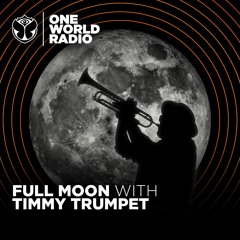Full Moon with Timmy Trumpet #13