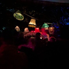 Rasen in Wilhelm-Roser-Straße