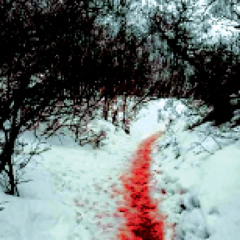 the scar in my heart that will never heal
