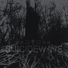 SUICIDEWAVE - Late