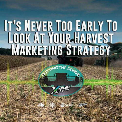 Stream It’s Never Too Early To Look At Your Harvest Marketing Strategy