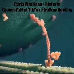 Carla Morrison - Disfruto (GreaseFatRat TikTok XRaw Bootleg)