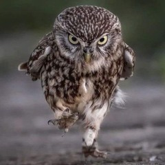 CME .X class ..2nd sun recordings Charlie dj .wav