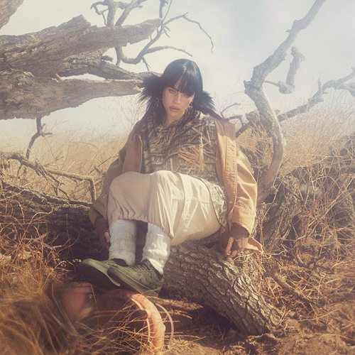 Halley’s Comet - Billie Eilish (Origins Audible Version)