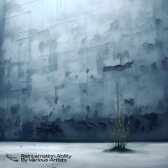 Reincarnation Ability V/A (VORTX008)