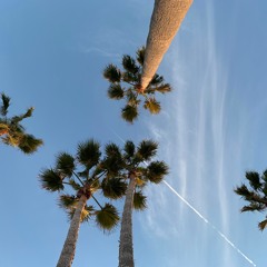 Afters Demo [Leftfield House | Deep Tech | Afro Tech]