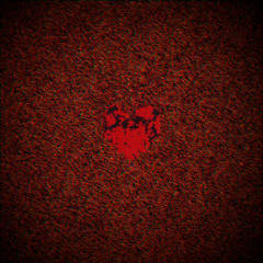 No one can find love (Including me.)