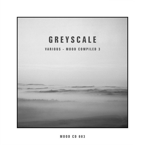 Scale LTD - 2