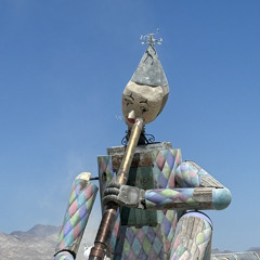 Just Hass live set Burning man 2024 - Farmeted reality