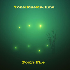 Fool's Fire