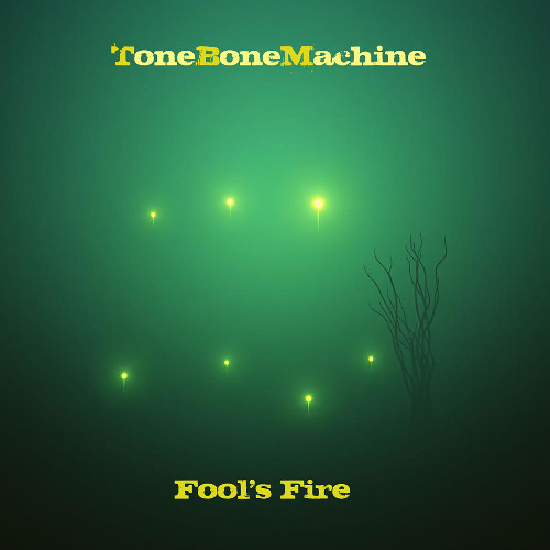 Fool's Fire