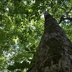 i miss my nigga reggie prod.bluegwaluh