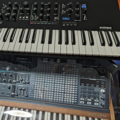 Korg Prologue - Reso Arp Jam