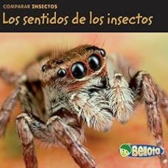 [Read] EPUB 🖍️ Los sentidos de los insectos (Comparar insectos) (Spanish Edition) by