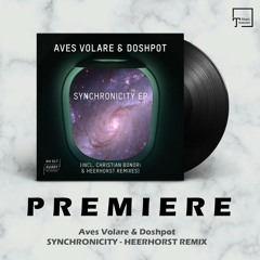 PREMIERE: Aves Volare & Doshpot - Synchronicity (Heerhorst Remix) [AVIARY RECORDINGS]