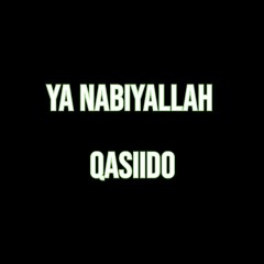 Ya Nabiyallah Qasiido