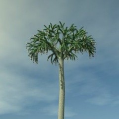 2ₖ∁⽳AiℿⰤⅮ✹oso