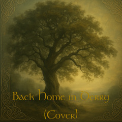Back Home In Derry (Cover)