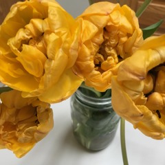 You Are Welcome Here