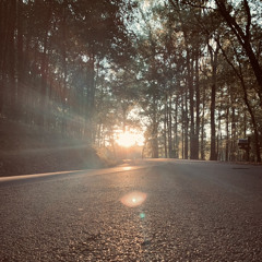 Gentle Shepherd (Louisville Convention 2022)