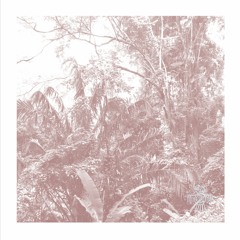 PREMIERE : Aucuba Replica - Of Grasping [संस्कार Rites]
