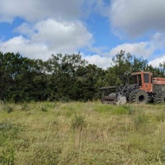 Land Clearing Services In Houston And East Texas Houston Land Clearing