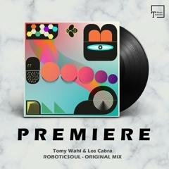 PREMIERE: Tomy Wahl & Los Cabra - Roboticsoul (Original Mix) [SINCOPAT]