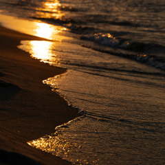 Golden Light