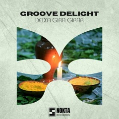 Groove Delight - Deixa Gira Girar