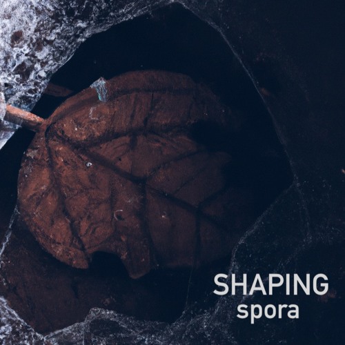 spora