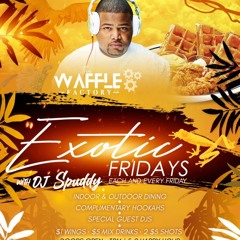 Exotics Friday's @Waffle Factory- DjSpuddyBSE