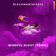 MINDFUL NIGHT (Remix)Ft. Ashley Hicks
