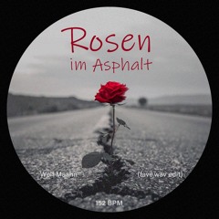 Wolf Maahn - Rosen im Asphalt (fave.wav edit)