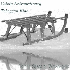 Calvin Extraordinary Toboggan Ride