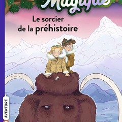 La cabane magique, Tome 06 : Le sorcier de la préhistoire (French Edition)  téléchargement epub - b55TeMlMuk