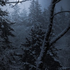 A Winter's Night