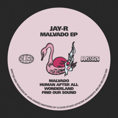 PREMIERE: Jay-R - Find Our Sound [Bliss Records]