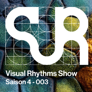 Visual Rhythms • D3 invite cis0o0o0