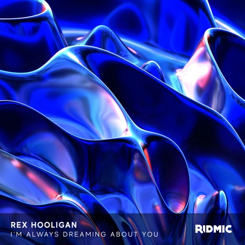 Artwork for the song Rex Hooligan I’m Always Dreaming by Liquicity Records on Next Sound