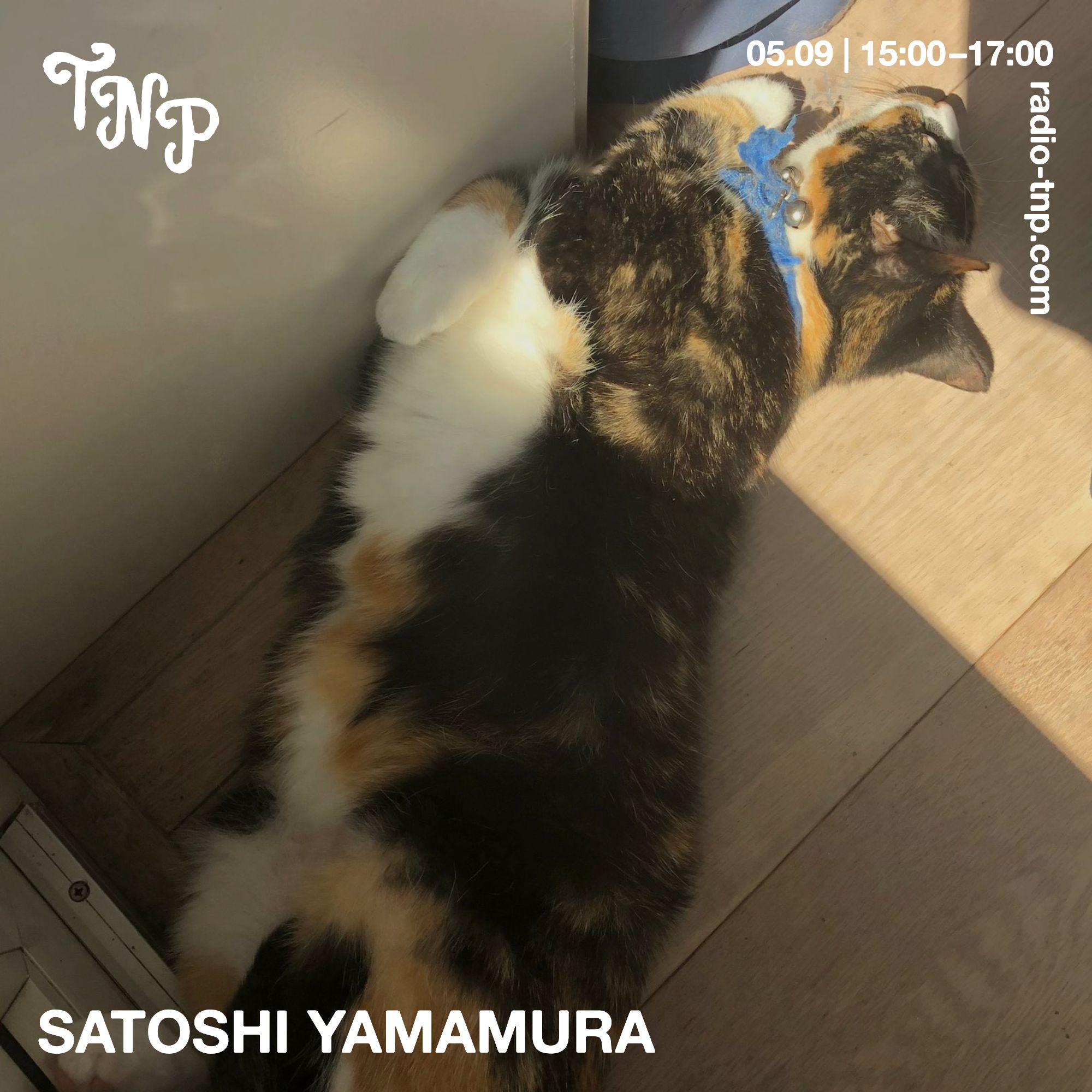 Satoshi Yamamura