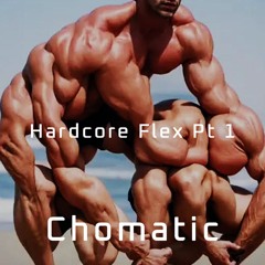 Hardcoreflex Pt 1.WAV