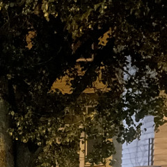 Moneybcp•MaxBoySurf - Certified Stompers